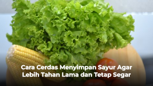 Cara Cerdas Menyimpan Sayur Agar Lebih Tahan Lama dan Tetap Segar