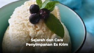 Sejarah dan Cara Penyimpanan Es Krim