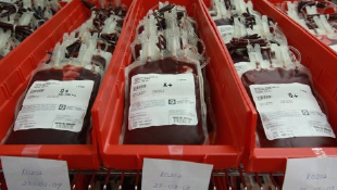 Mengenal Kulkas Blood Bank Refrigerator